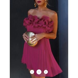 Commense Mesh Rosette Tube Pleat Short Dress Sz S